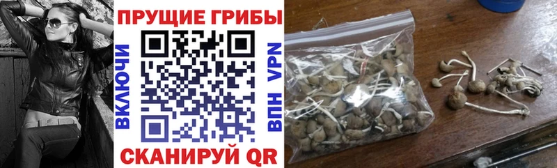 Псилоцибиновые грибы Psilocybine cubensis ОМГ ОМГ Ярцево