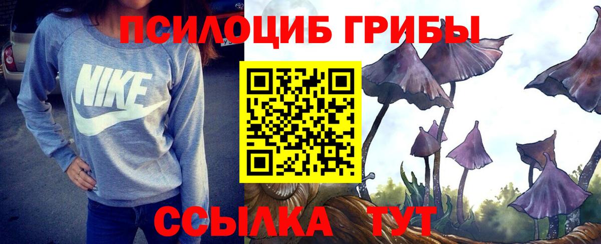 наркота  Вход с VPN  Ярцево  Псилоцибиновые грибы Psilocybe 